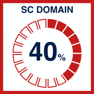 SC DOMAIN 40